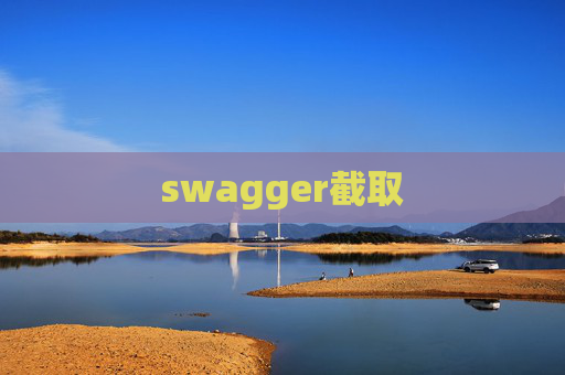 swagger截取